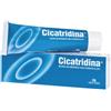 FARMA-DERMA Srl Cicatridina Pomata Acido Ialuronico Sale Sodico 2%, 60g