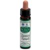 Santiveri Ainsworths recov remedy 10ml