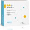Omeopiacenza Ddm matrice 14 bustine