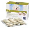 Camon Orme naturali hybrid 60 compresse 1300 mg