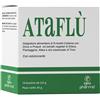 Igea pharma Ataflu' 14 bustine