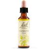 Schwabe pharma italia Clematis bach orig 20 ml