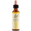 Schwabe pharma italia Gentian bach orig 20 ml