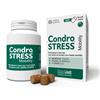 Condrogen Condrostress mobility 90 soft chews