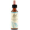 Schwabe pharma italia Rock water bach orig 20 ml