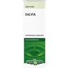 Erba vita Salvia olio essenziale 10 ml