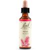 Schwabe pharma italia Pine bach orig 20 ml