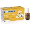 Vitalmix pappa reale 10flaconcini x10 ml s/gl