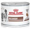 Royal canin Veterinary diet wet dog & cat recovery 195 g