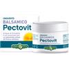 Erba vita Pectovit unguento 50 ml