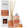 Benessere Farmacia Diffusore bastoncini arancio cannella 100 ml