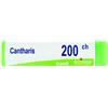 Boiron Cantharis 200ch gl