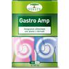 Renaco Gastro amp 30 capsule