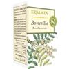 Erbamea Boswellia 50 opercoli