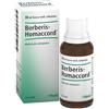 Guna Berberis homac 30ml gtt heel
