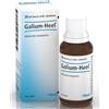 Guna Galium 30ml gtt heel