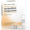 Guna Lycopodium comp 10f 2,2ml heel
