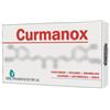 Abi pharmaceutical Curmanox 15 compresse