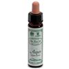 Santiveri Ainsworths aspen 10ml
