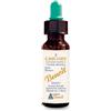 Benessere Farmacia Fiori di bach benoit chicory 10 ml