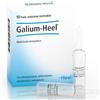Guna Galium 10f 1,1ml heel