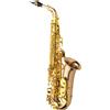 Yanagisawa SASSOFONO CONTRALTO YANAGISAWA A-WO20 SAX AWO20 EB BRONZO OTTONE LACCATO GIAP...