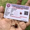 Argento 925 certificato in laboratorio + 5 pendenti Mukhi RUDRAKSHA Panchmukh...