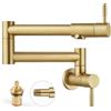 Heyalan Rubinetto per pentole da 48 cm, montaggio a parete, pieghevole, estensibile, per cucina, acciaio inox, braccio oscillante con doppio giunto, due maniglie, manico dritto, spazzolato oro