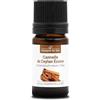 La Compagnie des Sens CANNELLA DI CEYLON CORTECCIA BIO - 5mL - Olio Essenziale di Qualità Premium - 100% Puro, Naturale, garantito ChromaCert® - Chemotipizzato & Integrale
