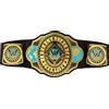 Mattel WWE Cintura Intercontinental Championship JLH37