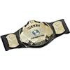 Mattel WWE Cintura Winged Eagle Championship HPL35