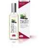Helan, I Profumi della Casa, Fragolino Selvatico, Spray profumato Ambiente, 100 mL
