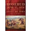 Paul L. Hedren Rosebud, June 17, 1876 (Tascabile)