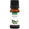 La Compagnie des Sens ALLORO NOBILE (Laurus nobilis) BIO - 10mL - Olio Essenziale di Qualità Premium - 100% Puro, Naturale, Garantito ChromaCert® - Chemiotipizzato & Integrale