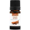 La Compagnie des Sens CANNELLA CINESE BIO - 5mL - Olio Essenziale - 100% Puro, Naturale, Integrale e Chemiotipizzato