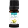 La Compagnie des Sens YLANG YLANG III (Cananga odorata) BIO - 5mL - Olio Essenziale di Qualità Premium - 100% Puro, Naturale, Garantito ChromaCert® - Chemiotipizzato & Integrale