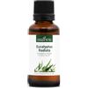 La Compagnie des Sens EUCALIPTO RADIATA BIO - 30mL - Olio Essenziale di Qualità Premium - 100% Puro, Naturale, Garantito ChromaCert® - Chemiotipizzato & Integrale