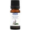 La Compagnie des Sens SALVIA A FOGLIE DI LAVANDA (Salvia lavandulifolia) BIO - 10mL - Olio Essenziale di Qualità Premium - 100% Puro, Naturale, Chemiotipizzato e Integrale
