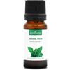 La Compagnie des Sens MENTA VERDE (Mentha spicata) BIO - 10mL - Olio Essenziale di Qualità Premium - 100% Puro, Naturale, Chemiotipizzato e Integrale