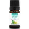 La Compagnie des Sens YLANG YLANG COMPLETO BIO - 5mL - Olio Essenziale di Qualità Premium - 100% Puro, Naturale, Garantito ChromaCert® - Chemiotipizzato & Integrale