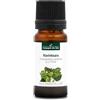 La Compagnie des Sens RAVINTSARA BIO - 10mL - Olio Essenziale di Qualità Premium - 100% Puro, Naturale, Integrale - Supporto al Sistema Immunitario