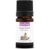 La Compagnie des Sens SALVIA SCLAREA (Salvia sclarea) BIO - 5mL - Olio Essenziale - 100% Puro, Naturale, Garantito ChromaCert® - Chemiotipizzato & Integrale