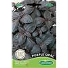 Germisem Purple Opal Semi di Basilico 2 g