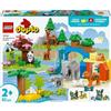Lego 10446 Duplo - Famiglie di Animali 3 in 1