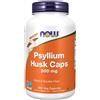 Now Foods, Cuticola di Psillio, 500 mg 500 St