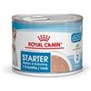 Royal Canin Starter Mousse Mother & Babydog | 12 x 195 g | Cibo umido Ultra Soft Mousse | Per le cagne nell'ultimo trimestre di gravidanza e durante il periodo dell'allattamento