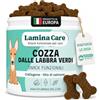 lamina care - Condroprotettore Antinfiammatorio Cani con Cozza dalle Labbra Verdi e Olio di Salmone per Cani - 90 Masticativi (270 g) - Integratore Articolazioni Cane e Cane Anziano