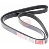 MASTER-SPORT GERMANY Cinghia Poly-V 5PK1360-PCS-MS
