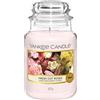 Yankee Candle Candela profumata in giara grande | Rose appena recise | Durata Fino a 150 Ore | Regali per donne