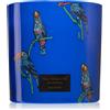 Vila Hermanos Jungletopia Rain Forest 620 g
